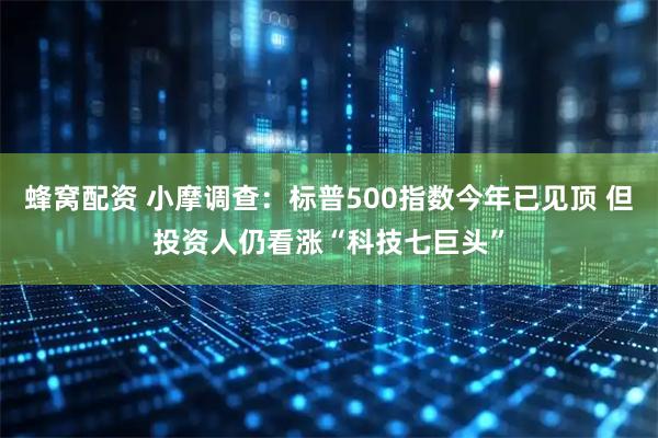 蜂窝配资 小摩调查：标普500指数今年已见顶 但投资人仍看涨“科技七巨头”