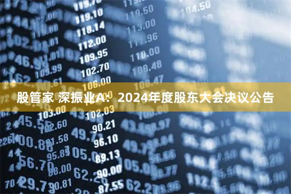 股管家 深振业A：2024年度股东大会决议公告
