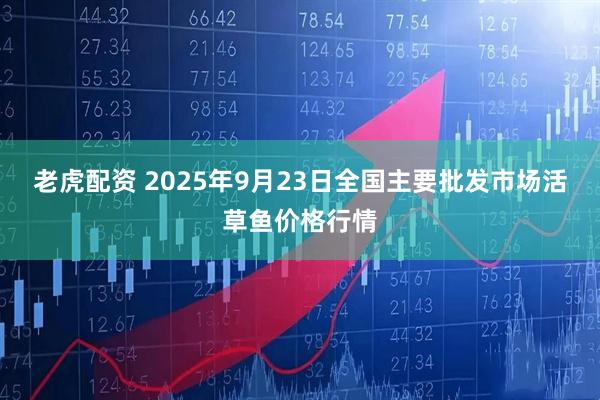 老虎配资 2025年9月23日全国主要批发市场活草鱼价格行情