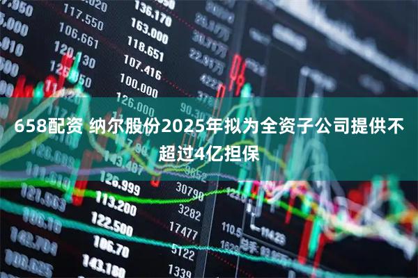 658配资 纳尔股份2025年拟为全资子公司提供不超过4亿担保
